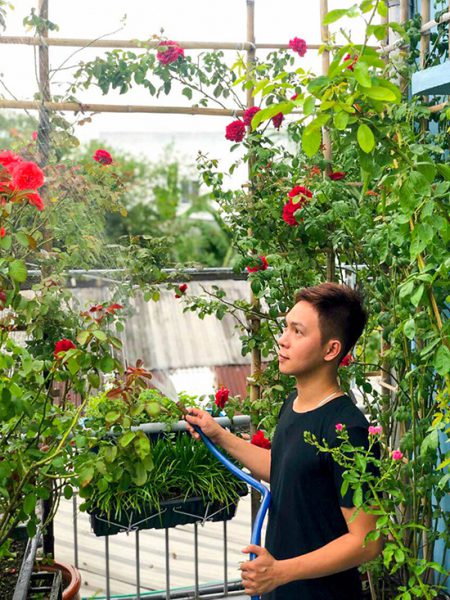 Thương cha mẹ lớn tuổi, năm 2015, anh Mai Huỳnh Vĩnh Hưng (30 tuổi) thôi việc ở TP HCM để về quê Bến Tre làm việc, phụng dưỡng ông bà. Khi rảnh, việc đầu tiên anh làm là sắp xếp lại ban công rộng 12 m2 để trồng một số loài rau, sau đó là hoa.