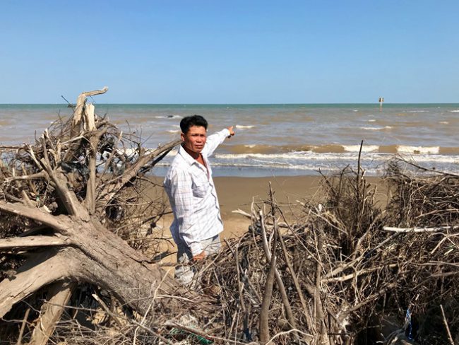 Nước biển dâng đánh bật những rừng dương hơn 10 năm tuổi ở huyện Duyên Hải, Trà Vinh