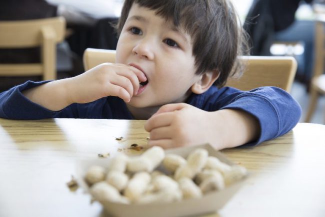 Trẻ tiếp xúc với đậu phọng sớm không tăng nguy cơ dị ứng với thực phẩm này.