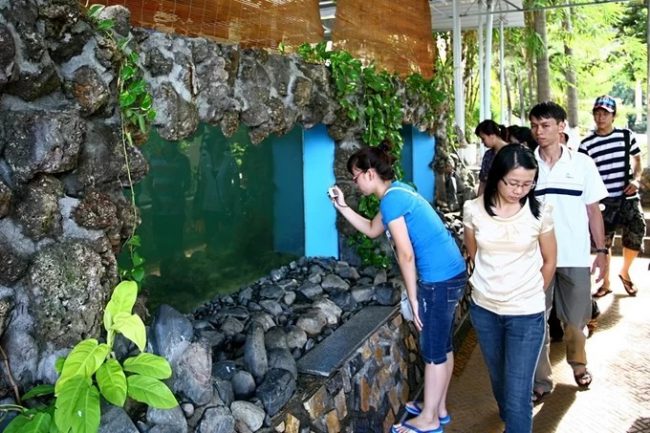 Thành lập năm 1923, bảo tàng Hải Dương học là một phần của Viện Hải dương học Nha Trang, cơ sở nghiên cứu biển hàng đầu của Việt Nam và khu vực Đông Nam Á. Tuyến tham quan bảo tàng bắt đầu từ khu nuôi sinh vật biển, nơi có nhiều loài đẹp, kỳ lạ và quý hiếm.