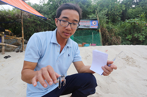 Ông Nguyễn Văn Vũ, chủ nhiệm đề tài khoa học Phục hồi và bảo vệ rùa biển tại Cù Lao Chàm. Ảnh: Đắc Thành.
