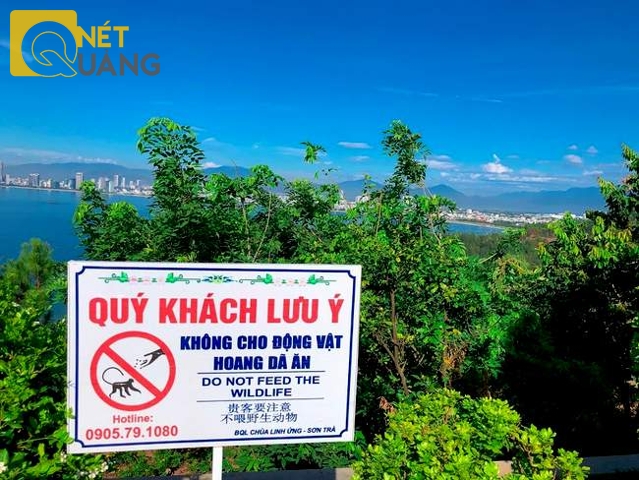 Hiện chùa Linh Ứng đã cắm một số biển báo khuyến cáo du khách nhưng hầu hết đều bị phớt lờ. Và chuyện này quả là ngoài tầm tay, chức năng của nhà chùa rồi!