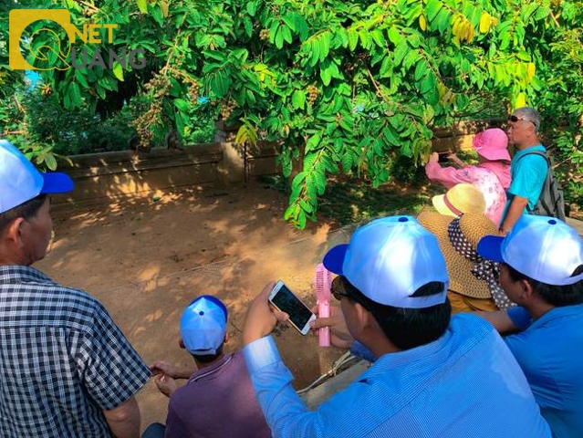 Bây giờ, đến chùa Linh Ứng – Bãi Bụt, người ta còn có thú vui là đi xem khỉ như thể ở sở thú! Trong ảnh là một nhóm du khách đang háo hức chờ khỉ! Không ai chắc rằng họ có làm gì chọc phá bầy khỉ hay không cũng như không ai chắc rằng bầy khỉ có tấn công, làm tổn thương du khách hay không.