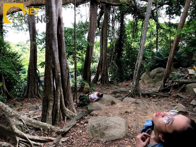 Việc bảo tồn cây đa này sẽ giúp nâng cao nhận thức cho cộng đồng (địa phương, khách du lịch) về giá trị lịch sử, giá trị bảo tồn gen, đa dạng sinh học, văn hóa ứng xử với thiên nhiên, môi trường. Nhưng xem ra từ lúc nó được gắn cây di sản, mọi việc chưa có gì tiến triển hơn.