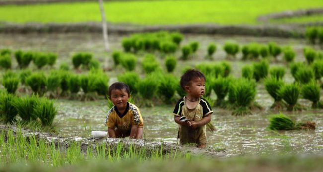 Những nụ cười thơ ngây, ánh mắt sáng bừng lấp lánh trên khuôn mặt đen nhẻm có lẽ sẽ là hình ảnh khó quên đối với những du khách từng đặt chân đến rẻo đất vùng cao đẹp đẽ này. (Nguồn: Mu Cang Chai Eco Lodge)