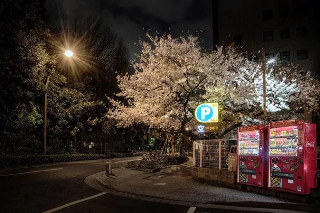 Hình dáng máy và sản phẩm được bán khá đồng nhất ở khắp Nhật Bản.