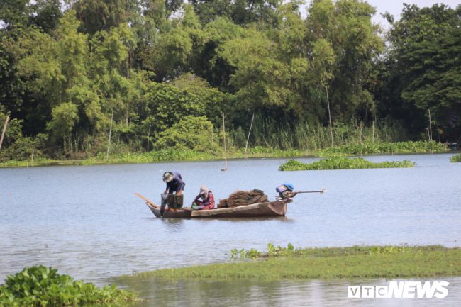 Dù mùa nước nổi đến hơi muộn so với mọi năm nhưng con nước cũng kịp thời mang đến nhiều sản vật giúp người dân đầu nguồn Đồng bằng sông Cửu Long (ĐBSCL) mưu sinh trong những tháng nông nhàn.