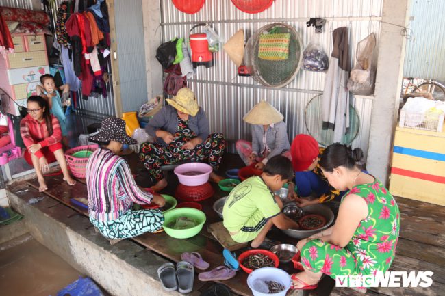 Công việc sơ chế cá linh giúp cho nhiều phụ nữ có thêm thu nhập lúc nông nhàn.