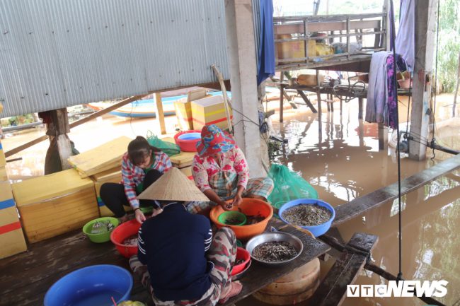 Theo những phụ nữ làm cá thuê, mỗi kg cá linh chị làm sẵn được trả công 25.000 đồng. Mỗi ngày một người có thể làm được khoảng 10kg cá trở lên.