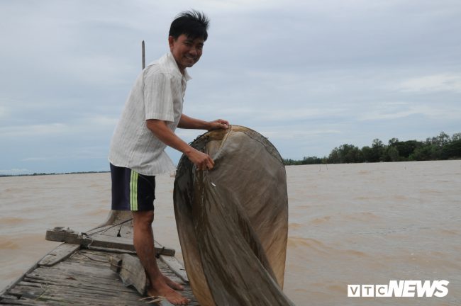 Anh Trương Văn Hùng (46 tuổi) cho biết: “Tháng trước không thấy lũ về, ai cũng sốt ruột. Người dân ở đây trồng lúa 2 vụ nên mùa này trông chờ lũ về để khai thác thủy sản, kiếm thêm thu nhập. Giờ lũ về, ai cũng phấn khởi hết”.