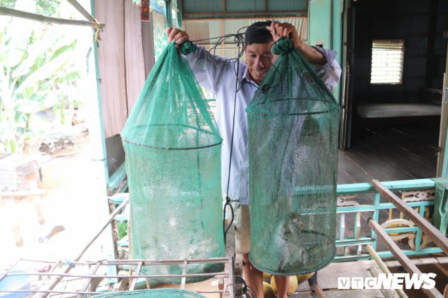 “Cá khai thác được mang về là có thương lái đến thu mua tận nhà. Tôi có 25 công ruộng, thu hoạch lúa thời điểm có giá thì lời lắm cũng tầm 25 triệu. So với đặt dớn mùa này thì không bằng vì mỗi ngày có thể kiếm 400 đến 500 ngàn”, ông Đoàn chia sẻ. 