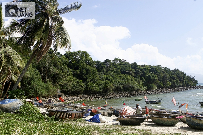 Rú Nam Ô như một khoảnh rừng nguyên sinh thiêng liêng bí ẩn của người làng, cũng là mảng xanh của làng nhô ra sát biển nhất.