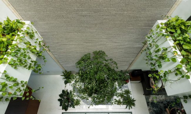 Khu tiểu cảnh nằm trọn trong khoảng thông tầng rộng 6m2. Do ánh sáng lấy thẳng từ mái xuống sàn tầng một, các bồn cây xung quanh khoảng thông tầng luôn xanh tốt. Khoảng thông tầng cũng giúp các phòng ngủ trên tầng hai dễ dàng nhìn xuống tầng một.