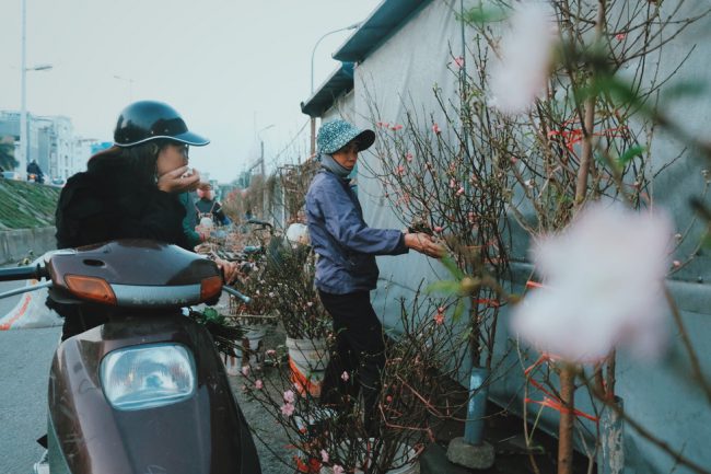 Người dân thích thú chơi đào tết sớm 