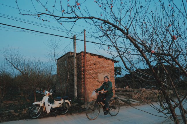 Vài nụ đào thắm trên nền trời xanh cũng đủ để tạo cảm giác tết đã đến rất gần 