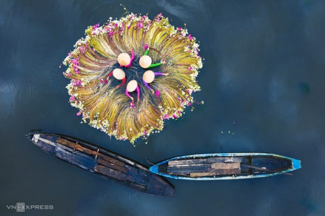 Bức ảnh “Mùa thu hoạch hoa súng” trên đồng lũ ở Long An. Mùa hoa súng ở các tỉnh đồng bằng sông Cửu Long, trong đó có Long An rơi vào khoảng tháng 9-10. Đây cũng là lúc các nhiếp ảnh gia từ khắp nơi hội tụ về để săn những góc ảnh đẹp. Nhiều bà con, cô gái thôn quê đồng ý làm mẫu ảnh nông dân hái hoa súng.