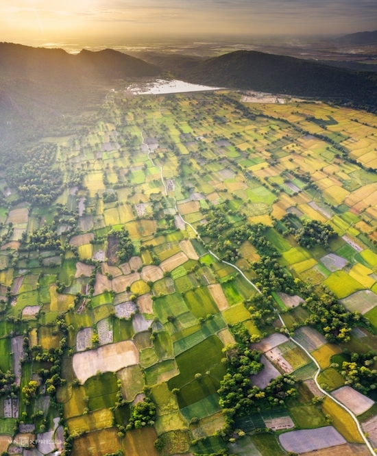 Bức ảnh “Mùa vàng Tà Pạ” ghi lại vẻ đẹp mùa lúa chín trên cánh đồng Tà Pạ, huyện Tri Tôn, tỉnh An Giang. Đây là một trong những điểm du lịch nổi tiếng nhất ở An Giang, thu hút khách du lịch và các tay máy đến săn ảnh, nhất là mùa lúa chín vào tháng 8 và tháng 11 hàng năm.