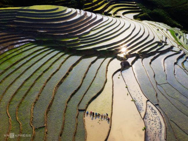 ác phẩm “Bắt đầu mùa lúa mới” chụp quang cảnh người nông dân cấy lúa trên những thửa ruộng bậc thang ở xã vùng cao Ý Tý, huyện Bát Xát, Lào Cai.  Những cơn mưa đầu mùa vào tháng 5 mang lại nguồn nước cho đồng ruộng cũng là lúc nông dân vào vụ cấy mới. Những thửa ruộng bậc thang vào mùa nước đổ càng đẹp hơn khi phản chiếu ánh mặt trời.  Anh Nhân chia sẻ, những địa danh anh chụp đều là nơi thu hút nhiều khách tham quan, được các nhiếp ảnh gia trên cả nước đến để sáng tác ảnh.