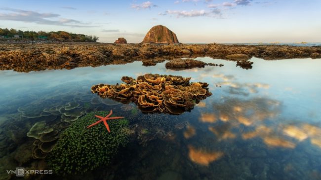 Tác phẩm “Rạn san hô ở Hòn Yến”. “Khi thủy triều rút, san hô có thể lộ hoàn toàn lên mặt nước. Đây là nơi chụp ảnh nối tiếng trong giới nhiếp ảnh, nhưng cũng là nơi cần được bảo tồn cấp thiết để bảo vệ giá trị đa dạng sinh học ven biển tại khu vực này, do đó cần lưu ý khi chụp ảnh tránh giẫm đạp lên các rạn san hô”, anh Nhân chia sẻ.