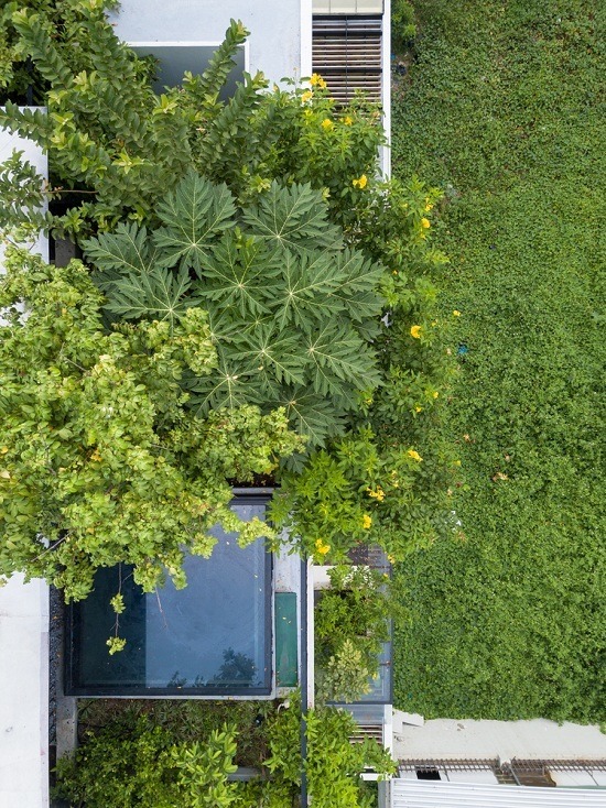 Nhìn từ cao xuống, cả ngôi nhà xanh um nhờ hệ thống vườn trên mái và vườn lơ lửng này. Nhờ hệ thống tưới cây tự động, gia chủ không mất công chăm sóc vườn.