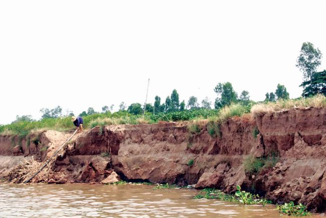 Sạt lở không chỉ ảnh hưởng tới nhà cửa, mà còn khiến nhiều diện tích đất nông nghiệp bị mất.