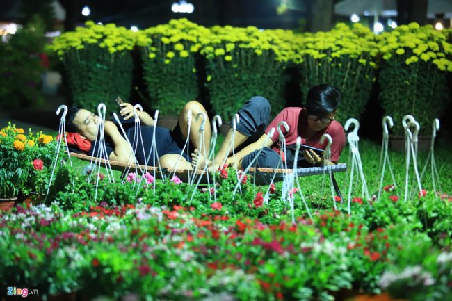 Nhiều người lướt điện thoại để giết thời gian trong đêm dài trông hoa.