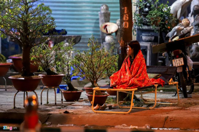 Một phụ nữ co ro ngồi canh những chậu hoa mai trong tiết trời se lạnh 20 độ C.