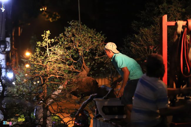 3h sáng, không khí ở đây tấp nập khi các chủ vườn đưa hoa. Hàng chục năm qua, tiểu thương từ khắp các tỉnh miền Tây như Bến Tre, Trà Vinh, Vĩnh Long... đổ về bến Bình Đông, lập nên chợ hoa Tết nổi tiếng.