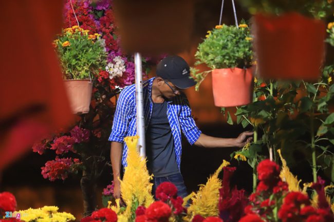 Gần về sáng, nhiều chủ vườn hoa vẫn thức để trông hoa.