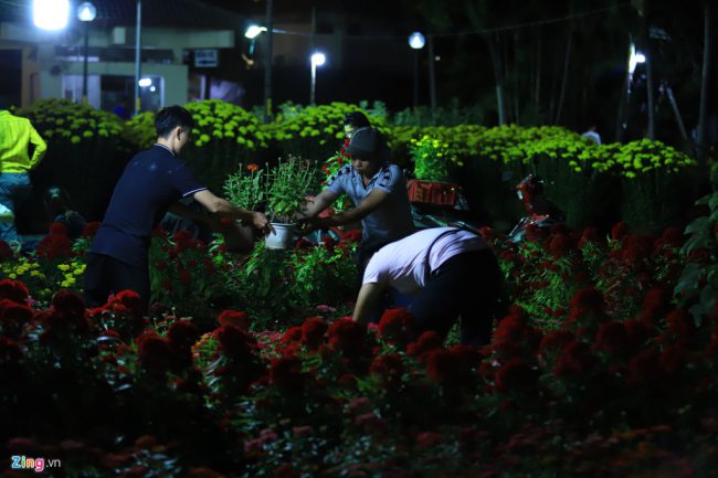 Các chủ vườn hoa cũng như công nhân phải thức xuyên đêm để sắp xếp những chậu hoa để kịp bán vào sáng hôm sau.