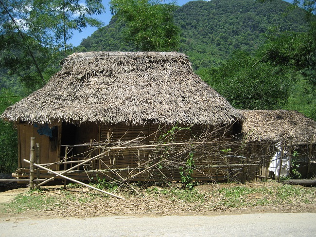 Nhà tre lợp tranh.