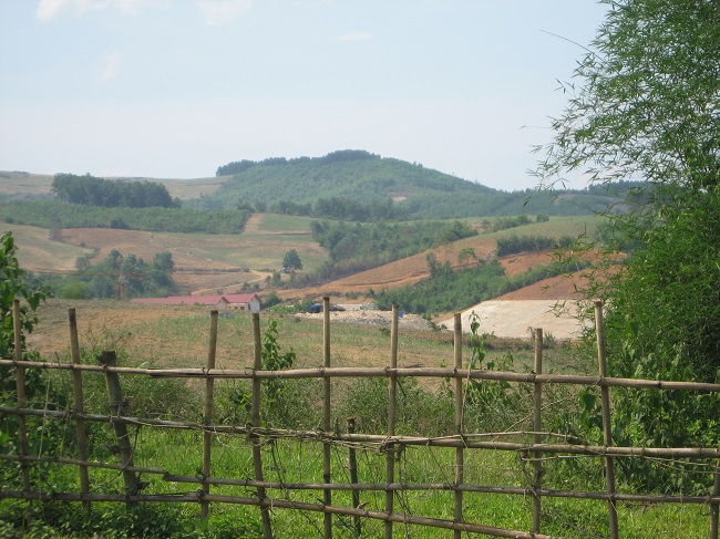 Hàng rào bằng tre.