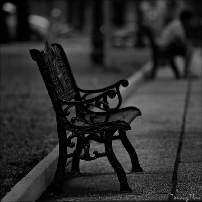 Ảnh minh họa. NAG Trung Thu