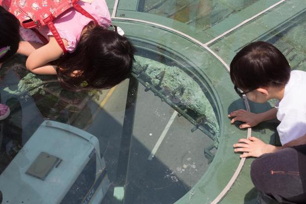 Các khu vực có lắp kính để ngắm cảnh bên dưới đường.