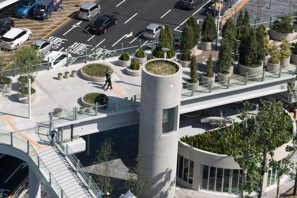 Có khoảng 24000 loại cây được trồng dọc theo đường đi.