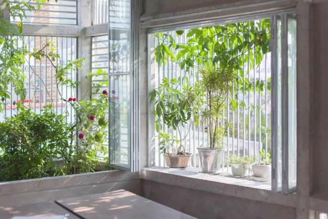 Cây xanh không chỉ mang lại vẻ mềm mại cho công trình mà còn là lớp lọc bụi lý tưởng khi ngôi nhà khá cởi mở với bên ngoài, khi khu vực đang có nhiều công trình xây dựng.