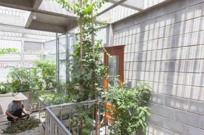 ...hay khu vực trồng rau.