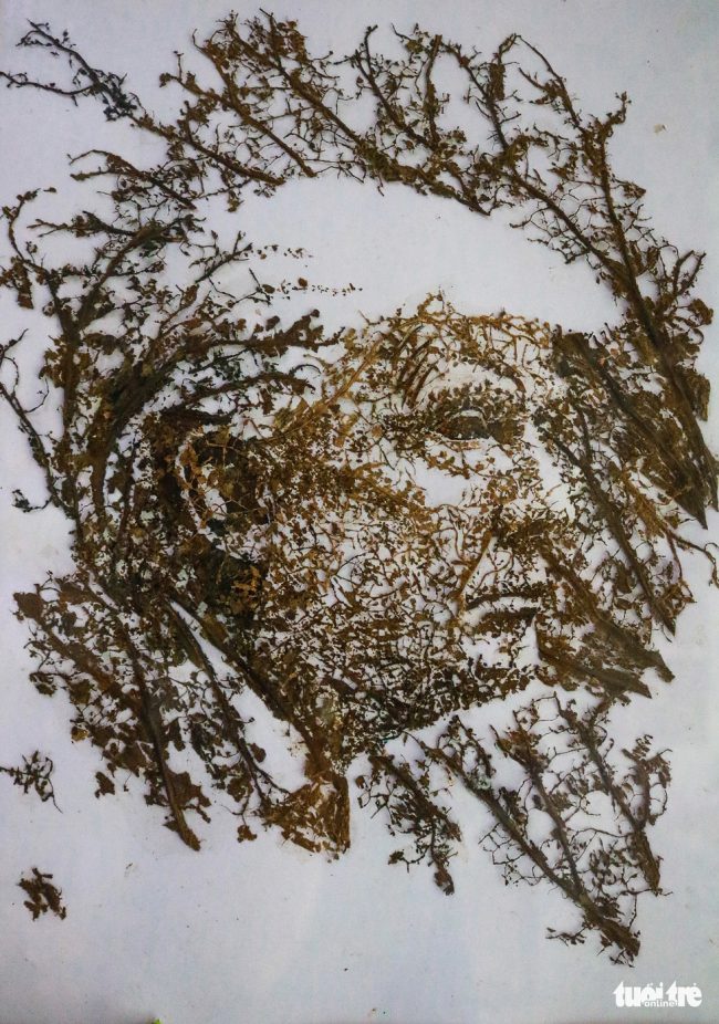 Chân dung ông Donald Trump được làm từ gân sen.