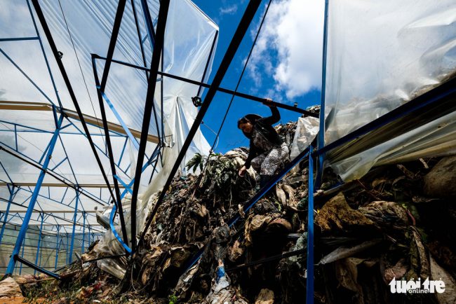 Bà Phạm Thị Thảo (57 tuổi) bên trong khu nhà kính xiêu vẹo vì bị rác đè