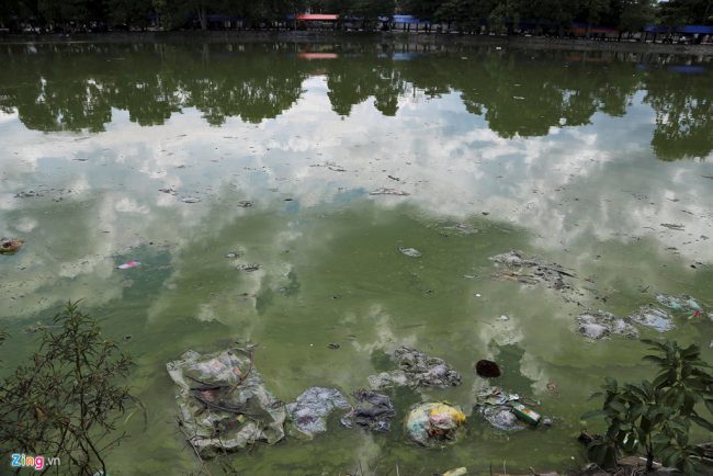 Nước ở hồ Bình Sơn chuyển màu, bốc mùi hôi thối, rác trôi lênh láng.