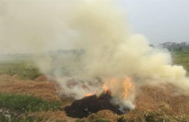 Cảng vụ Hàng không miền Bắc đánh giá khói đốt rơm rạ tiềm ẩn nguy cơ gây uy hiếp trực tiếp đến hoạt động bay.