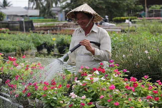 Ở vùng trồng hoa nổi tiếng của Việt Nam - Sa Đéc