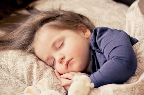 Ảnh: Daniela Dimitrova / Pixabay