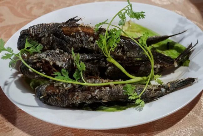 Cá thòi lòi trông khá kỳ dị nhưng lại là đặc sản của vùng đất Mũi Cà Mau. Loài cá này sống ở vùng đầm lầy, vừa có thể bơi dưới nước lại di chuyển được trên cạn, thậm chí có thể bám vào thân cây đước, cây sú. Thịt cá chắc, ngon và không tanh. Cá thòi lòi thường được nướng muối ớt, chiên giòn hoặc nấu canh chua, kho tương.