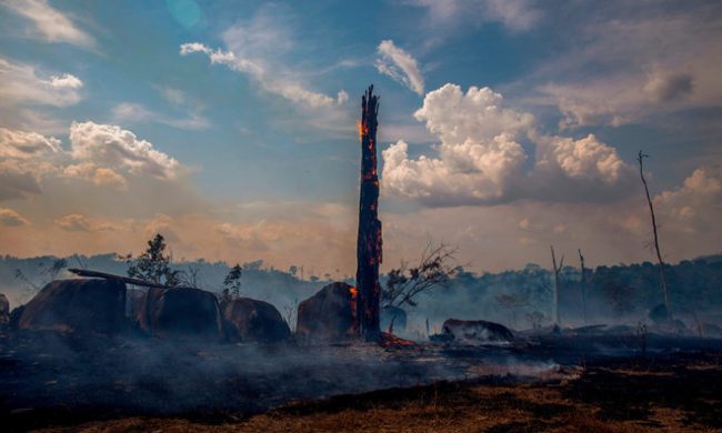 Rừng nhiệt đới Amazon được dự báo sẽ xuống cấp thành một thảo nguyên khô hơn, giải phóng hàng tỷ tấn carbon vào khí quyển. Ảnh: AFP/Getty.