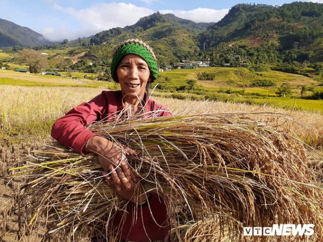 Niềm vui khôn tả xiết của người dân khi trúng mùa.