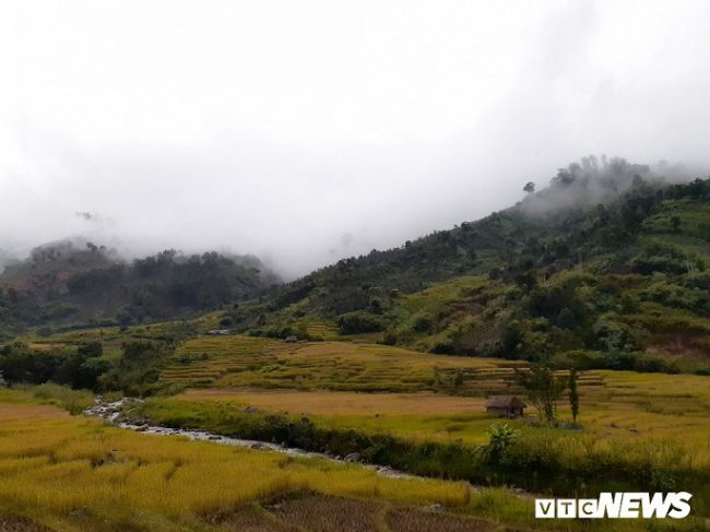 Đặc biệt, tháng 10 hàng năm, lòng chảo Măng Ri được phủ vàng bởi đồng ruộng bậc thang khiến lòng người mê mẩn.