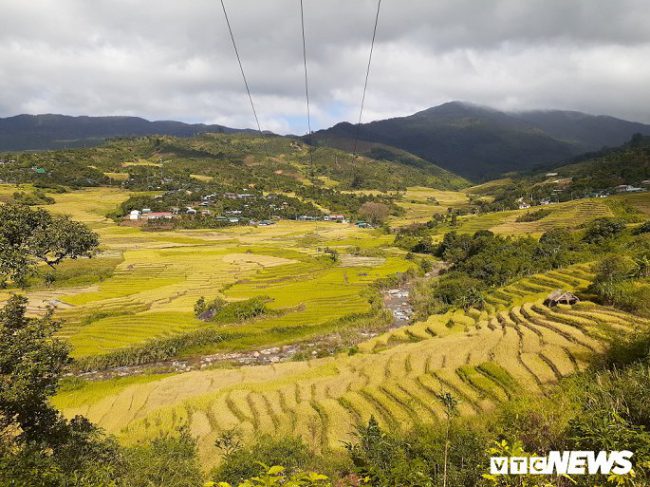 Ruộng bậc thang ở vùng Măng Ri khiến nhiều người mê mẩn với lòng chảo của núi rừng Tây Nguyên.