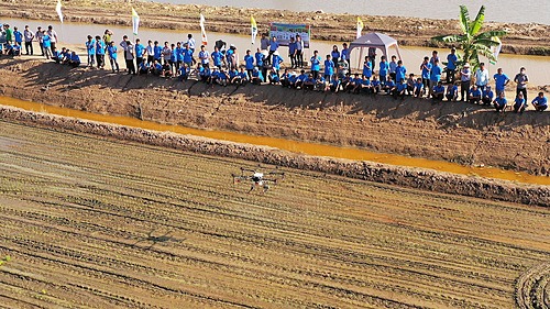 Thiết bị bay không người lái trình diễn phun thuốc trừ sâu tại Long An hôm 30/10. Ảnh: Trung Trần