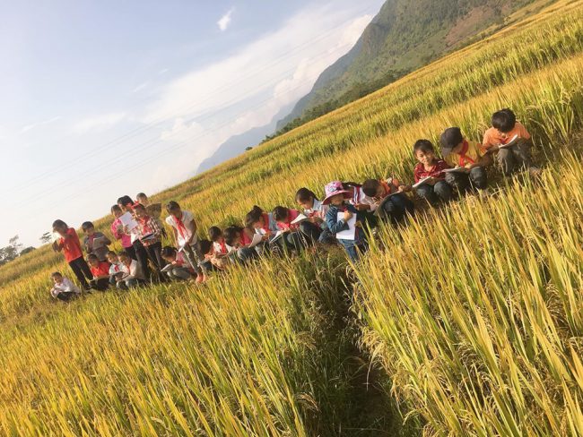 Học trò ngồi lắng nghe cô giảng và ghi chép bên cánh đồng lúa chín vàng.